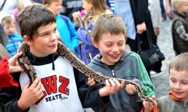 1. Svatováclavská slavnost