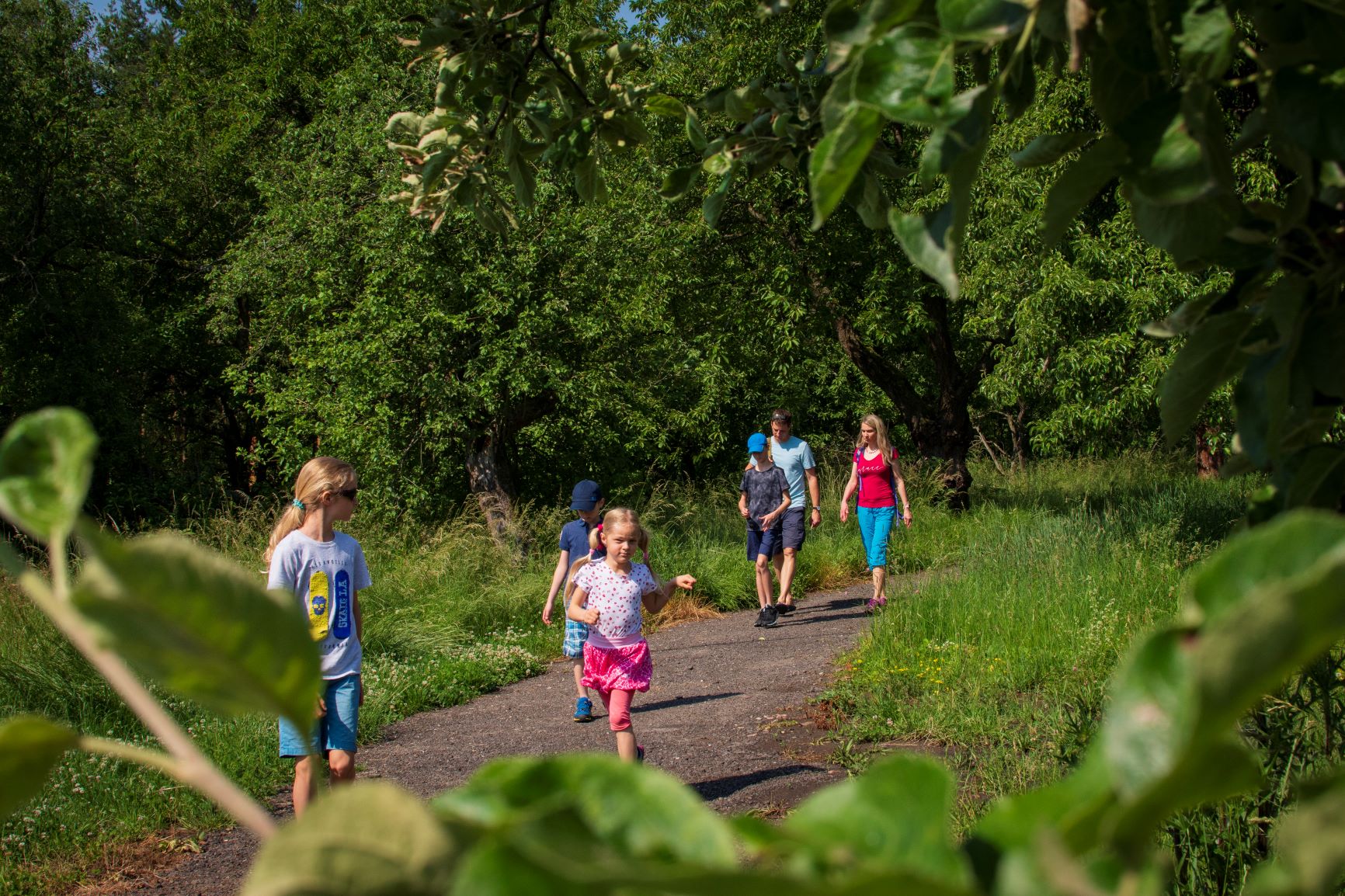Akce na zámku Svijany