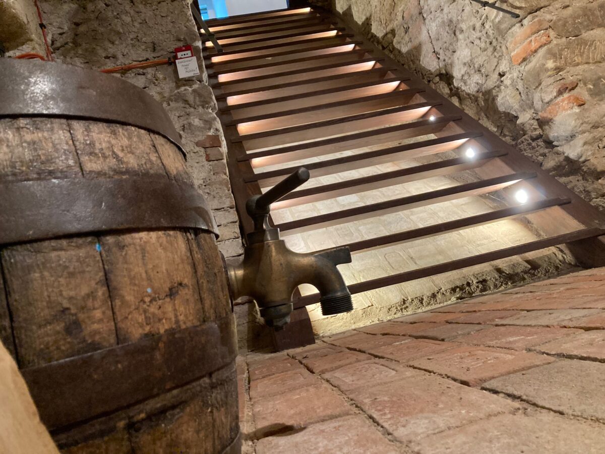 Akce na zámku Svijany