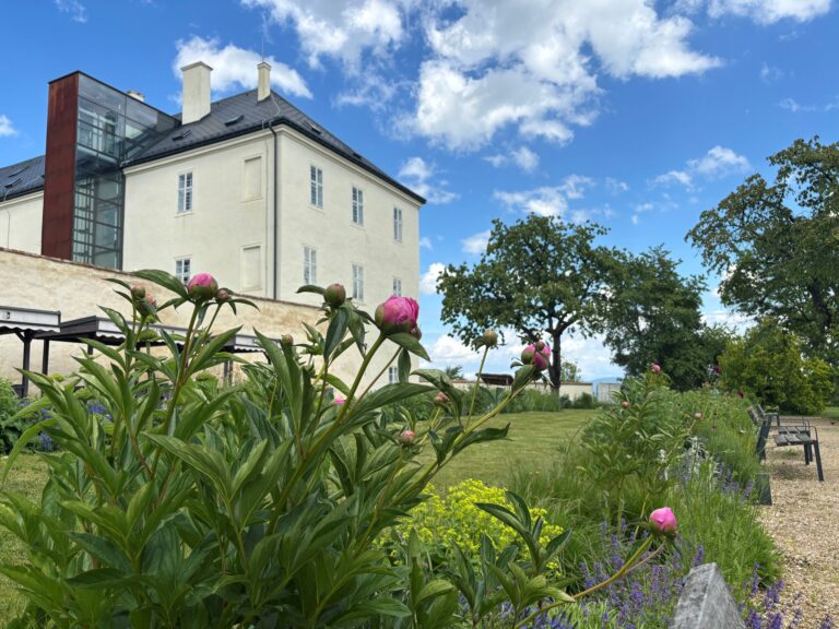 Zahrada zámku Svijany