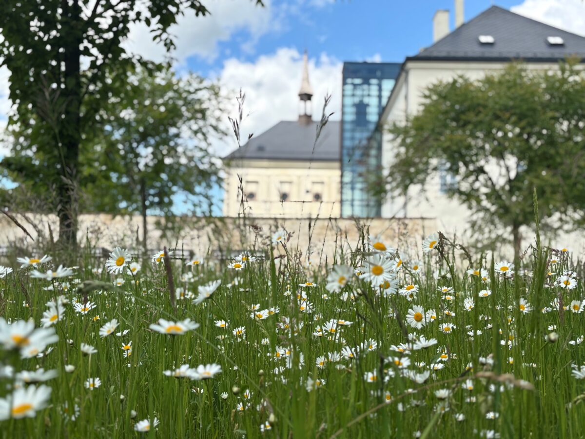 Zahrada zámku Svijany