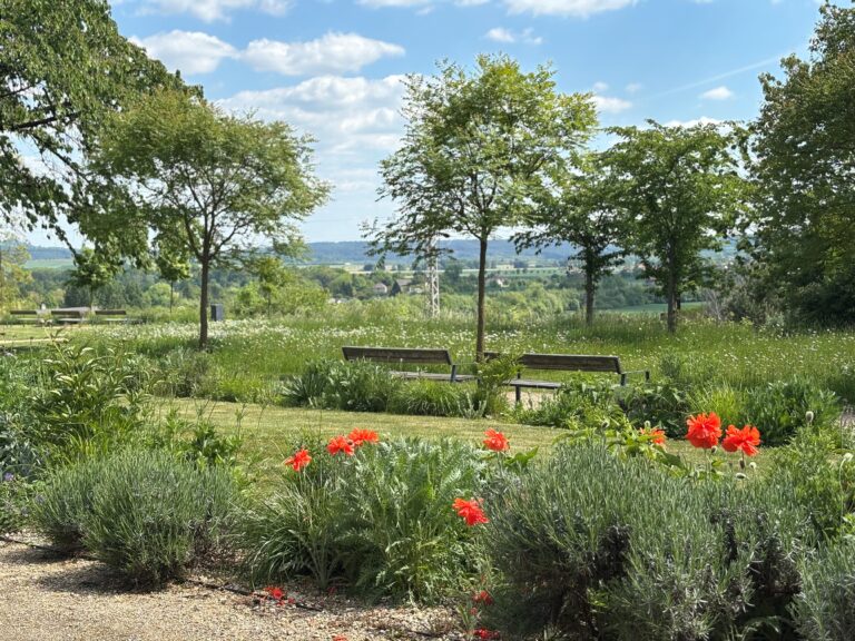 Zahrada zámku Svijany